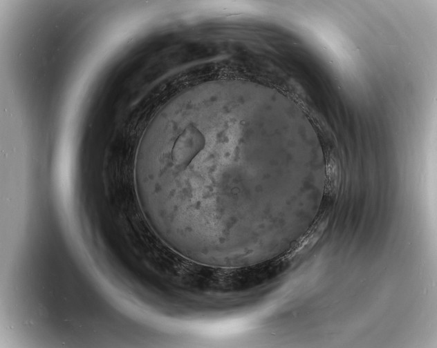 X0000093720765200710161058