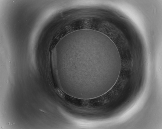 X0000093720766200710161058