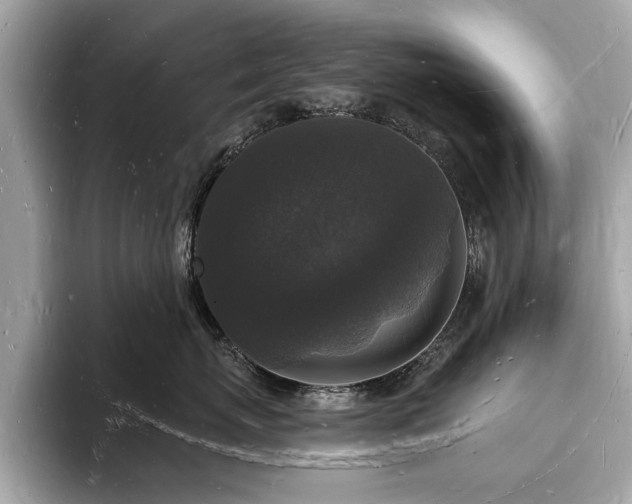 X0000093720767200710161058