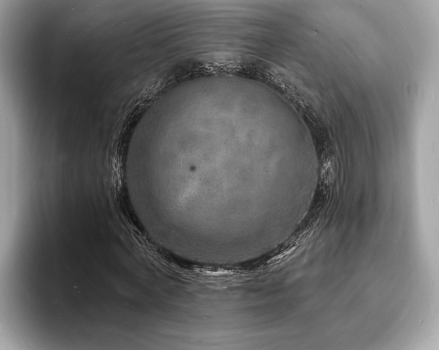 X0000093720772200710161058