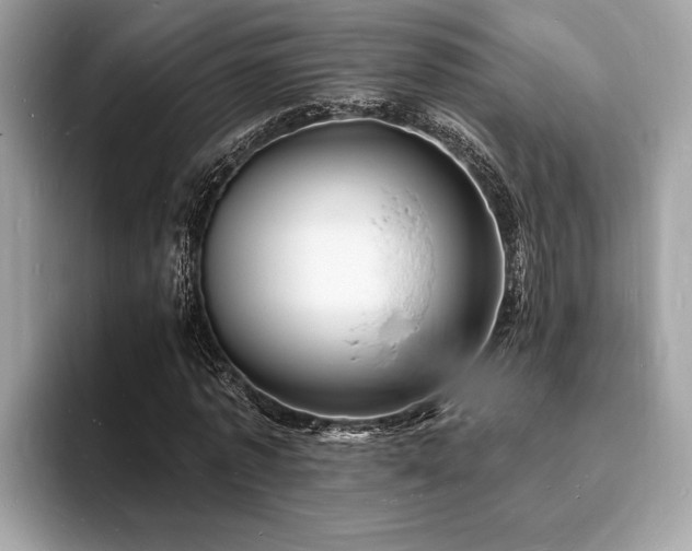 X0000093720773200710161058