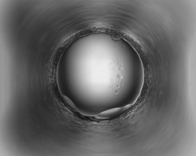X0000093720775200710161058