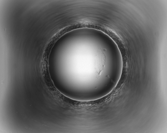 X0000093720776200710161058