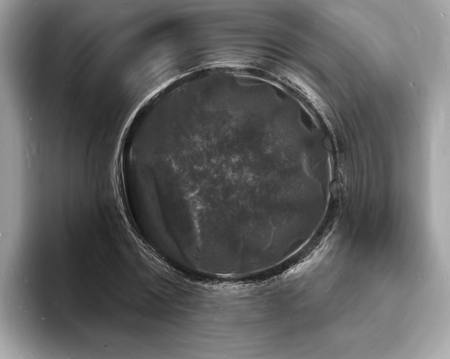 X0000093720779200710161057