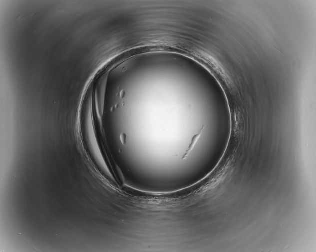 X0000093720780200710161057