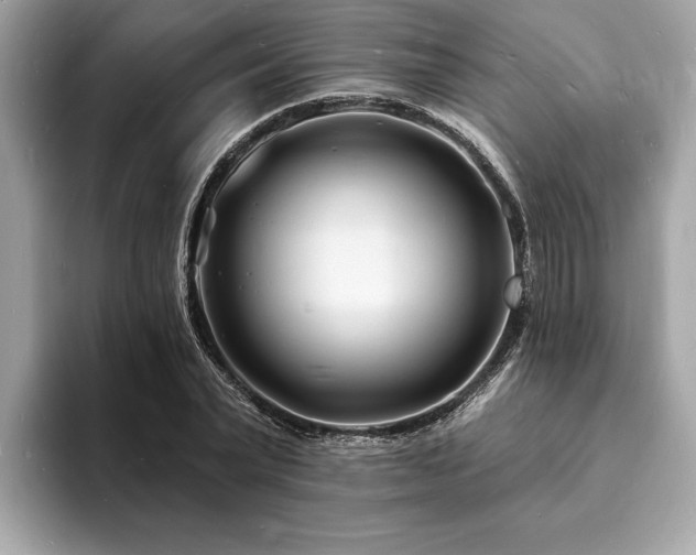 X0000093720783200710161057