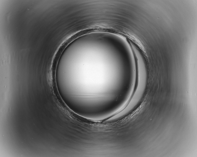X0000093720784200710161057