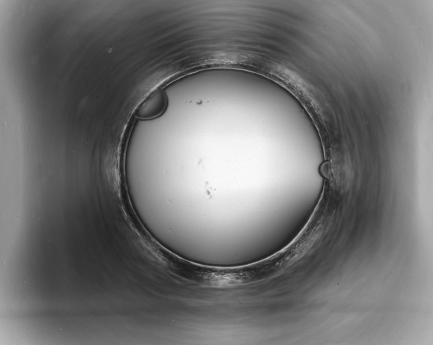 X0000093720794200710161057