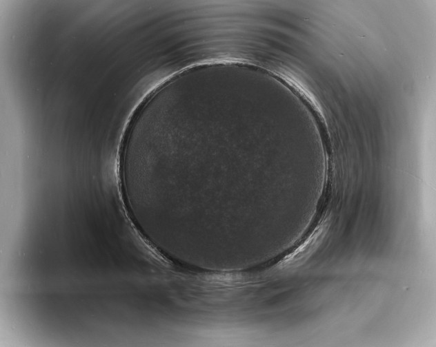 X0000093720797200710161057