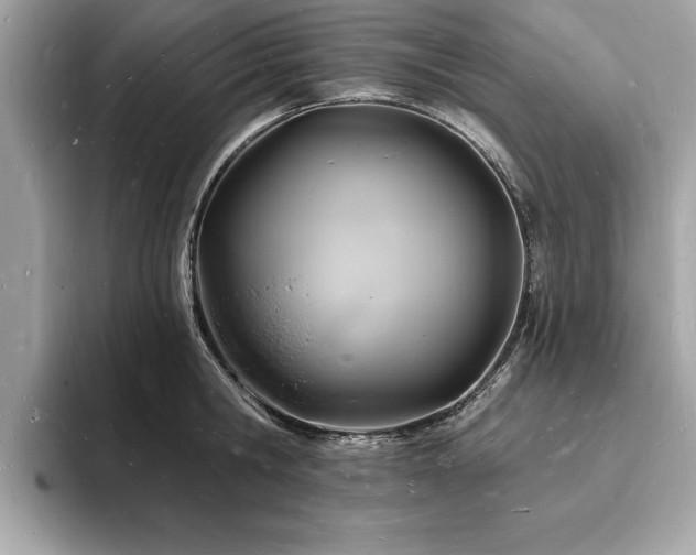 X0000093720806200710161057