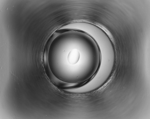 X0000093720809200710161057