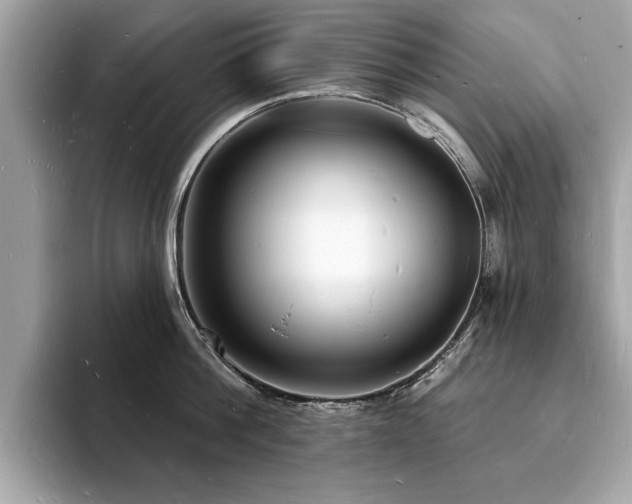 X0000093720812200710161057