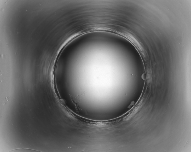 X0000093720814200710161057