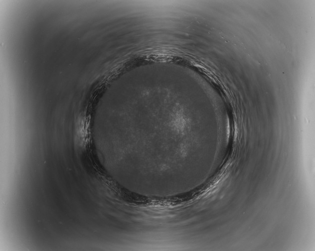 X0000093720818200710161056