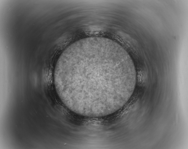 X0000093720820200710161057