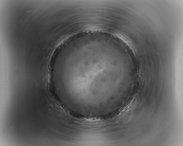 X0000093720823200710161057