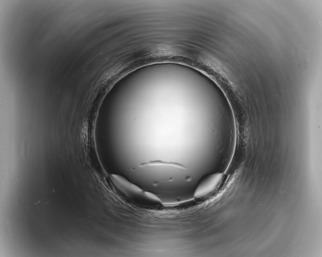 X0000093720825200710161057