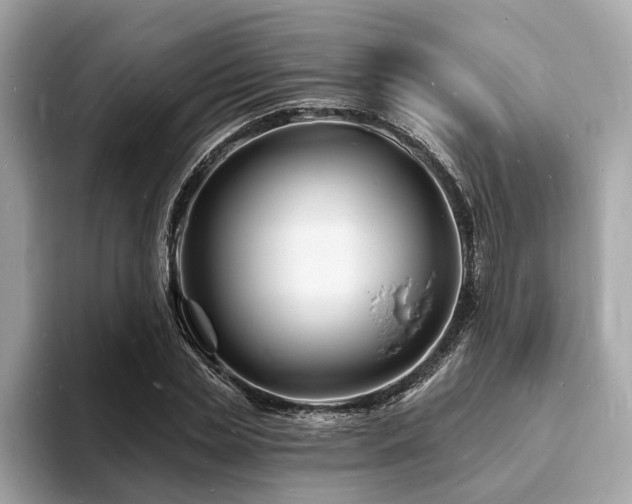 X0000093720829200710161057