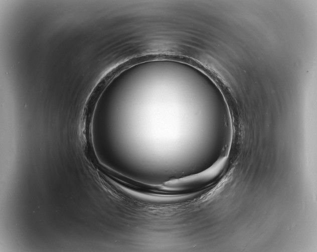 X0000093720830200710161057