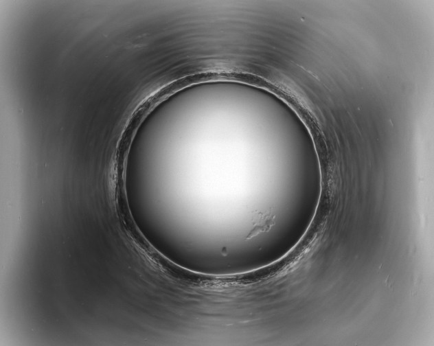 X0000093720831200710161057