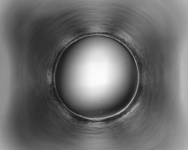 X0000093720833200710161057