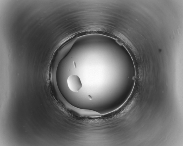 X0000093720834200710161057