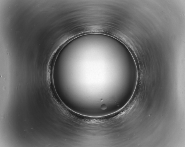 X0000093720835200710161057