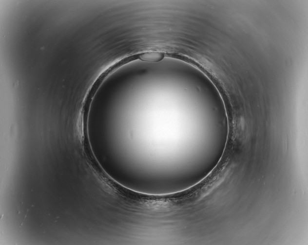 X0000093720838200710161057