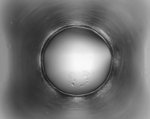 X0000093720839200710161057