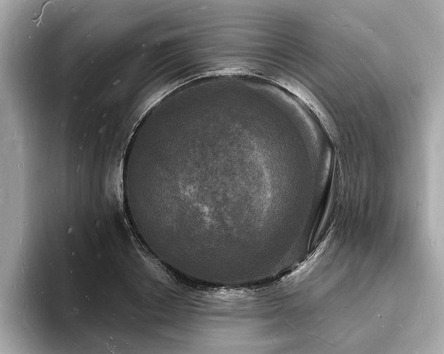 X0000093720842200710161057