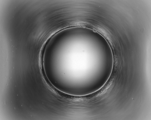 X0000093720843200710161057