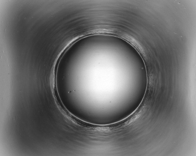 X0000093720844200710161057