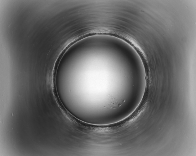 X0000093720845200710161057