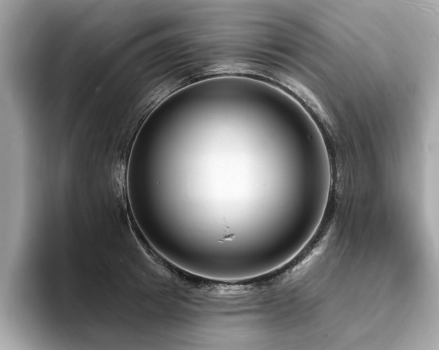 X0000093720849200710161057