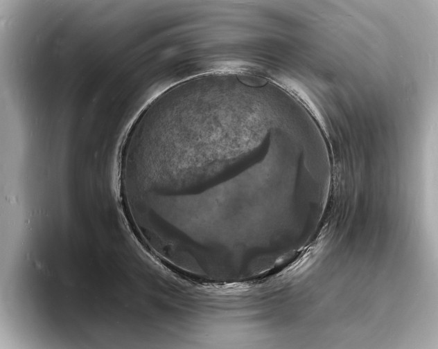 X0000093720851200710161057