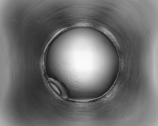 X0000093720852200710161057