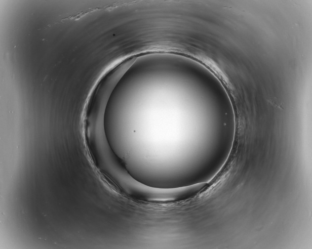 X0000093720854200710161057