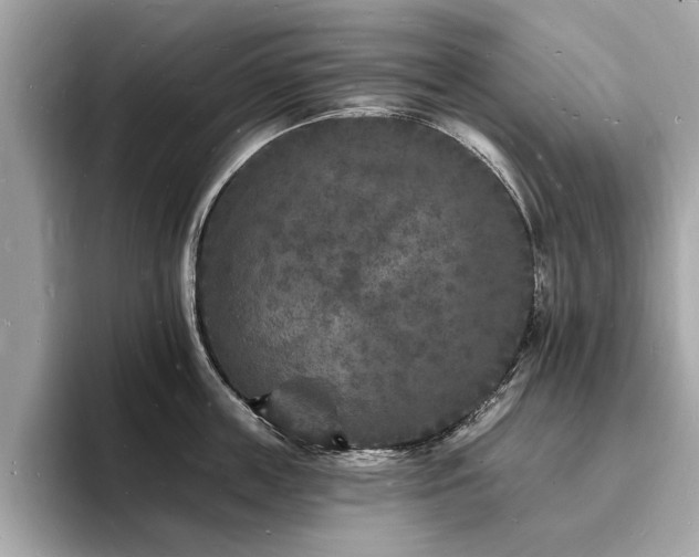 X0000093720859200710161057