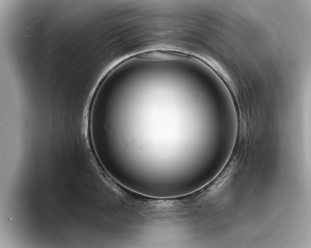 X0000093720862200710161057
