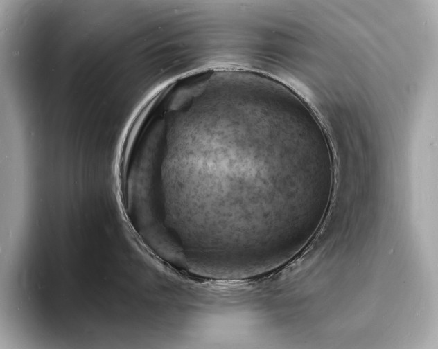 X0000093720864200710161057