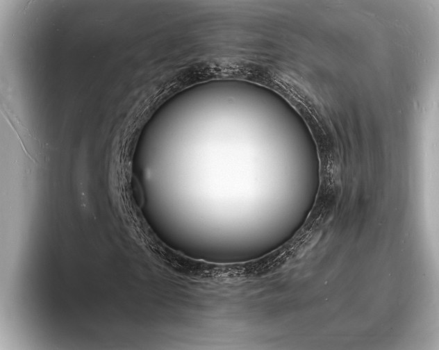 X0000093720865200710161056
