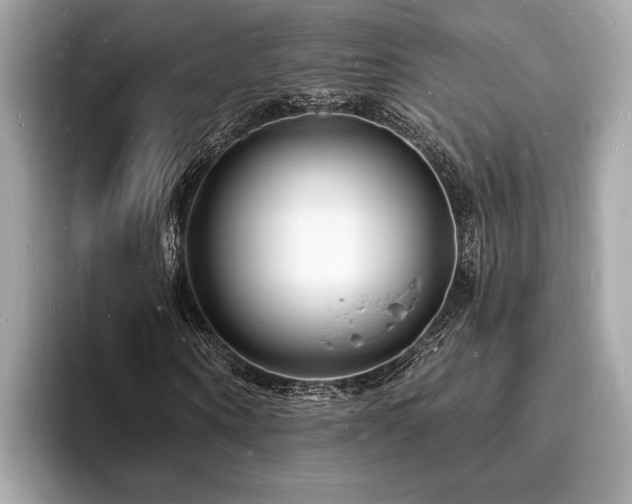 X0000093720866200710161056