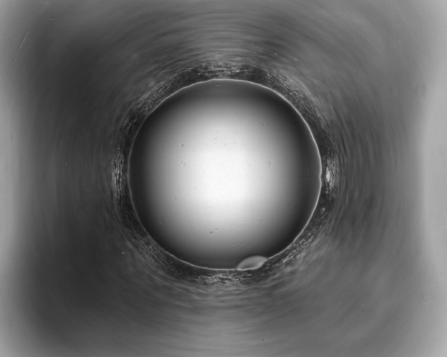 X0000093720867200710161056