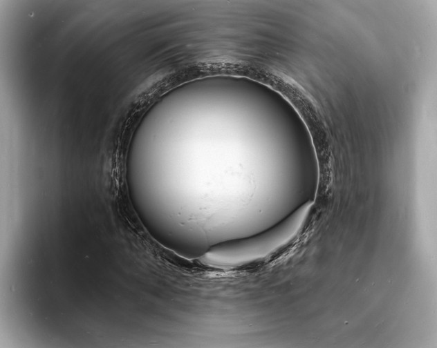 X0000093720870200710161056
