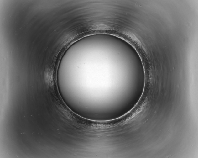 X0000093720873200710161056