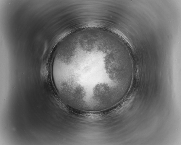 X0000093720874200710161056