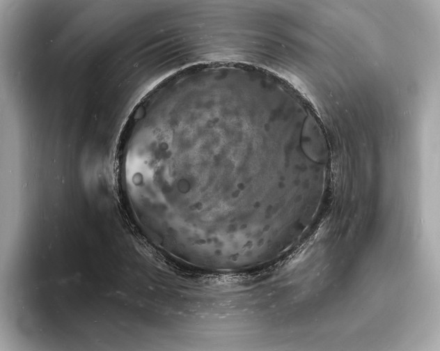 X0000093720879200710161056