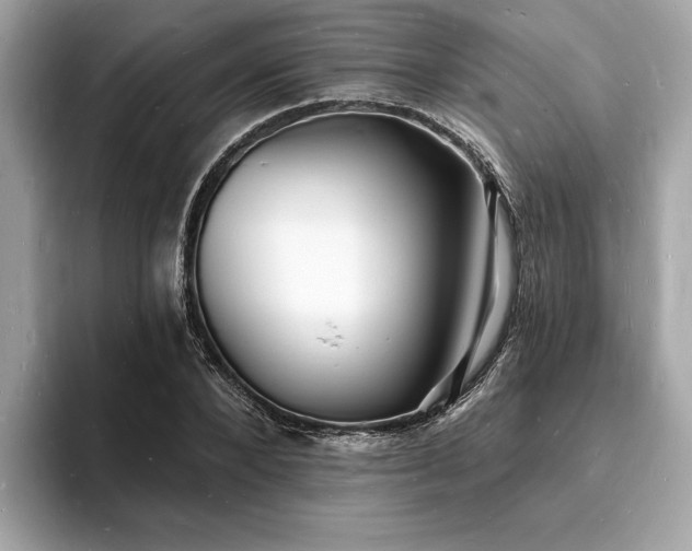 X0000093720880200710161056