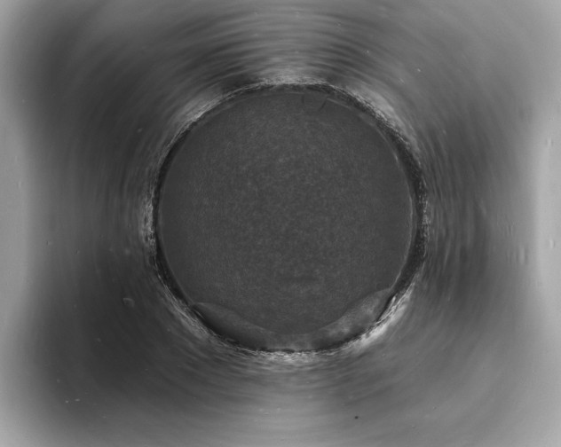 X0000093720881200710161056
