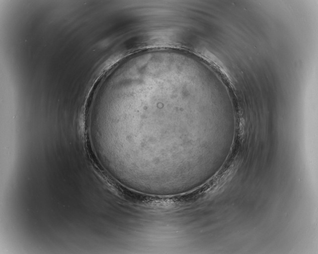 X0000093720882200710161056